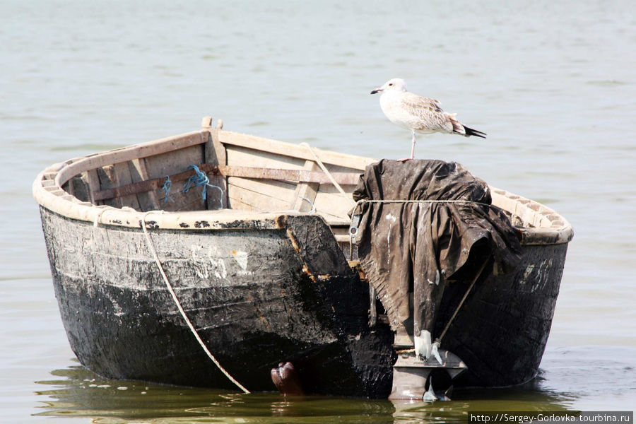 Море не имеющее горизонта