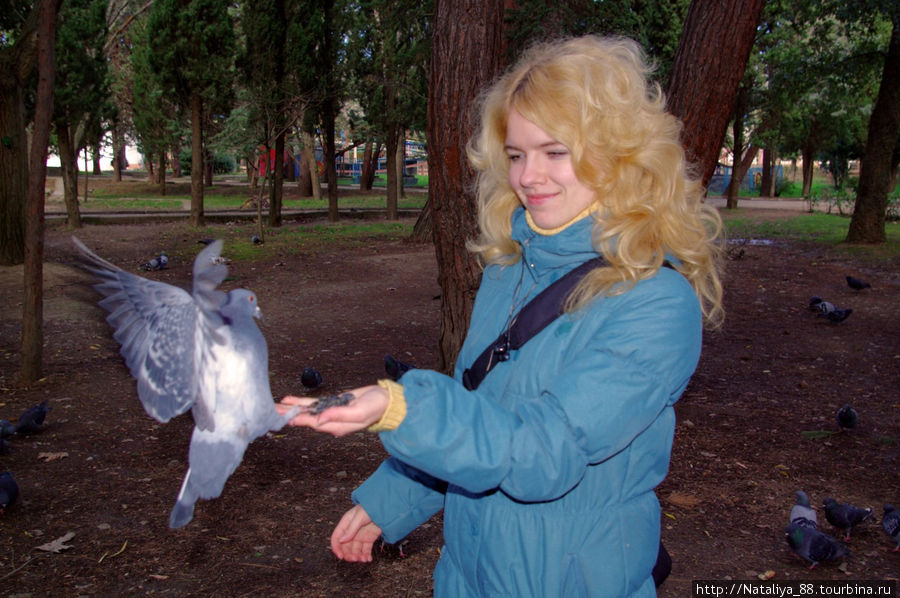 Очень голодные голуби)) Алушта, Россия