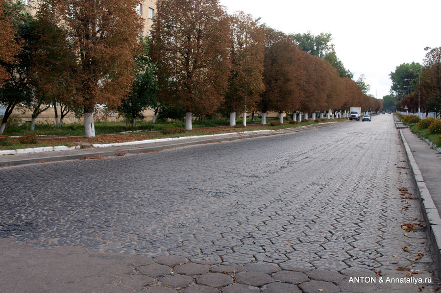 Некоторые дороги в Дубно до сих пор выложены польской плиткой. Дубно, Украина