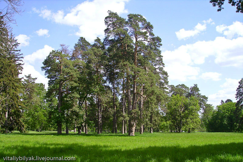 Дендропарк Александрия Белая Церковь, Украина