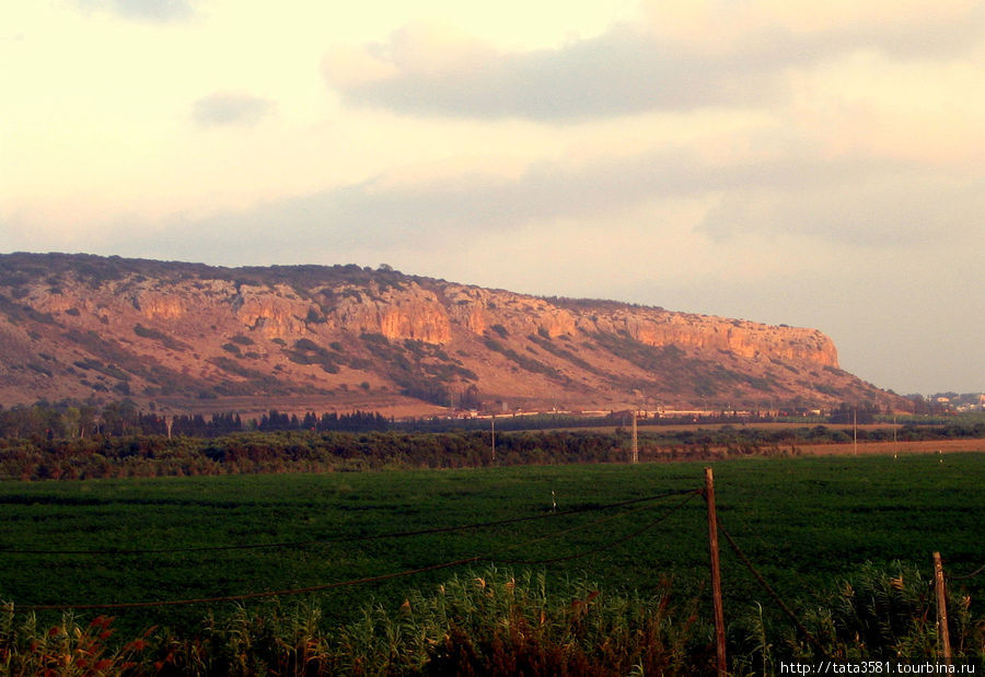 Кармель — горный массив на северо-западе Израиля. Кармель переводится как Виноградник Божий, который в изобилии рос на горе Кармель. Бердичев, Украина