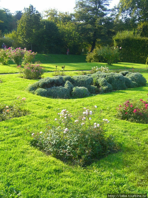 В парке роз Баден-Баден, Германия