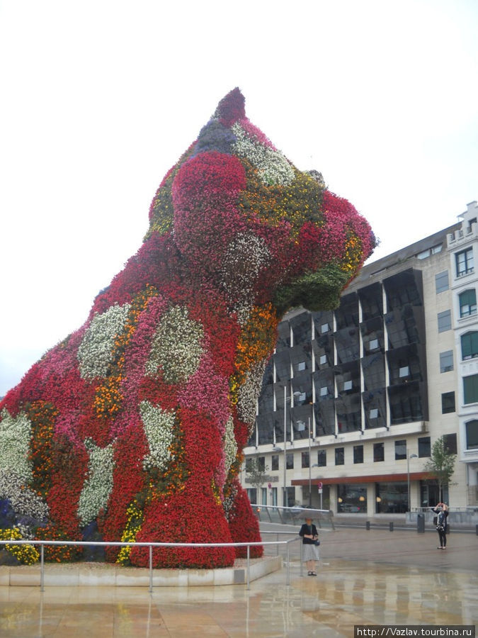 Цветочный пёс Бильбао, Испания