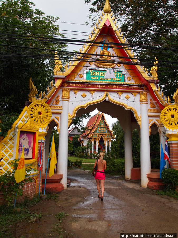 Ушла в монастырь Остров Чанг, Таиланд