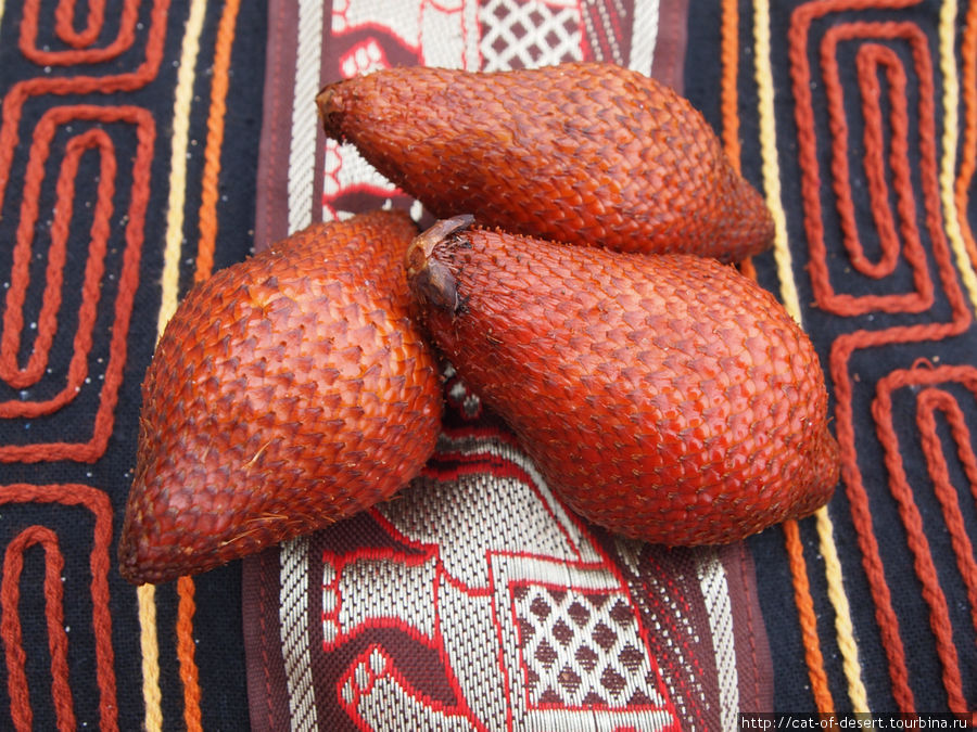 Так и не узнал, как этот фрукт называется Остров Чанг, Таиланд