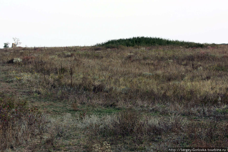 Хомутовская степь Мариуполь, Украина