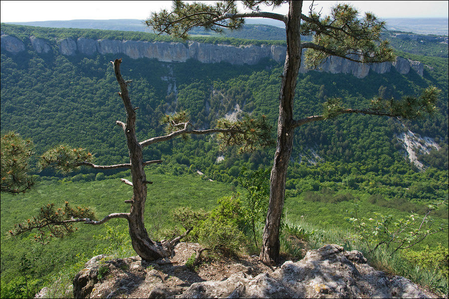 Запасная территория Севастополь, Россия