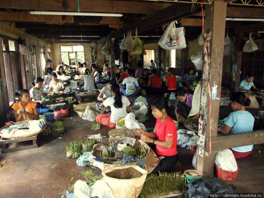 Общий вид фабрики. Багоу, Мьянма