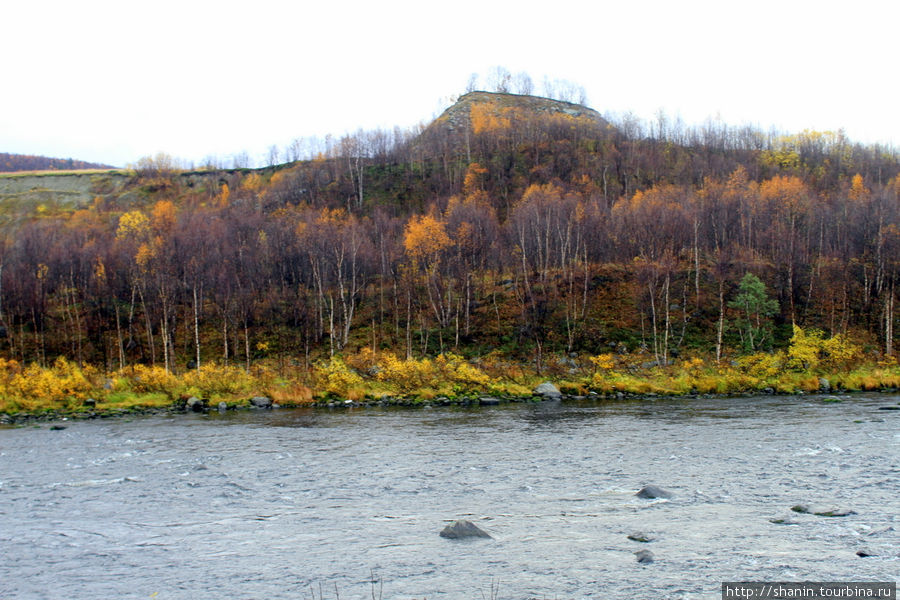 Опять по шпалам Молочный, Россия