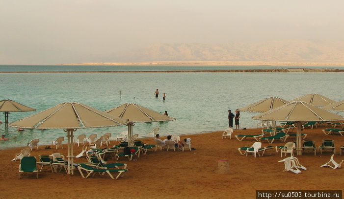 Берег Мертвого моря у оте