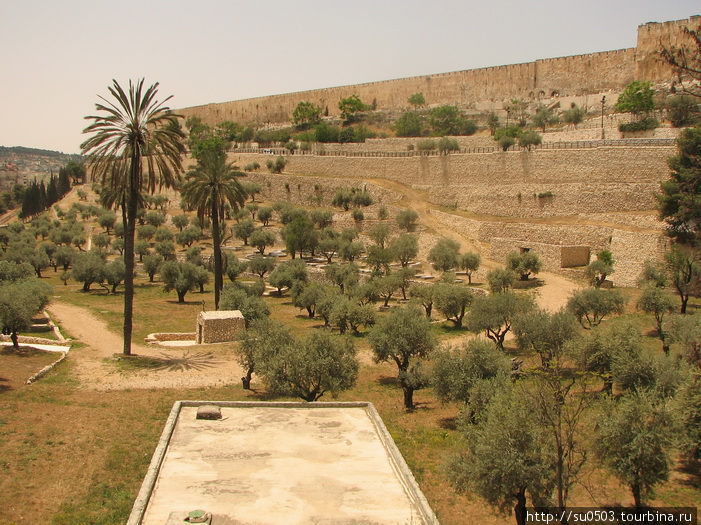 Кедронская долина Израиль
