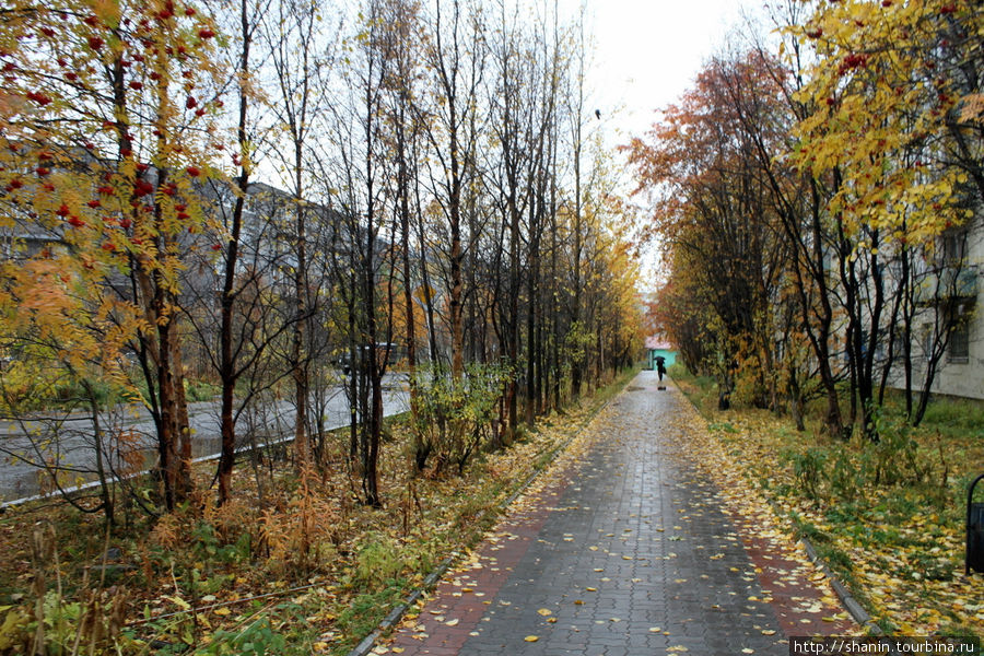 Самый северный и самый старый Кола, Россия