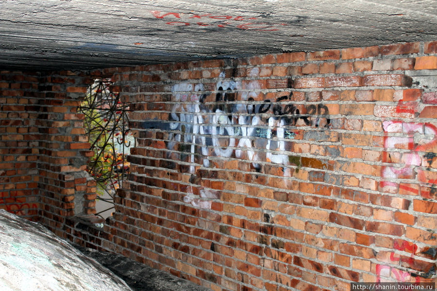 На стенах пишут Мурманск, Россия