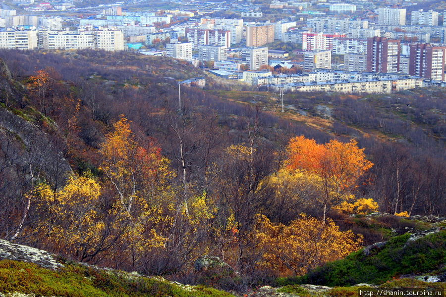 Вид с сопки на город Мурманск, Россия