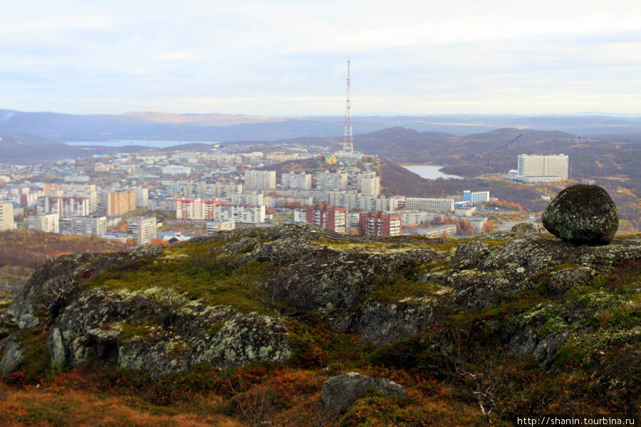 Сопки в мурманске фото