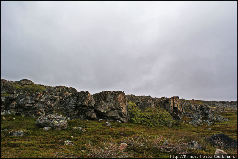 Камни и мхи Мурманская область, Россия