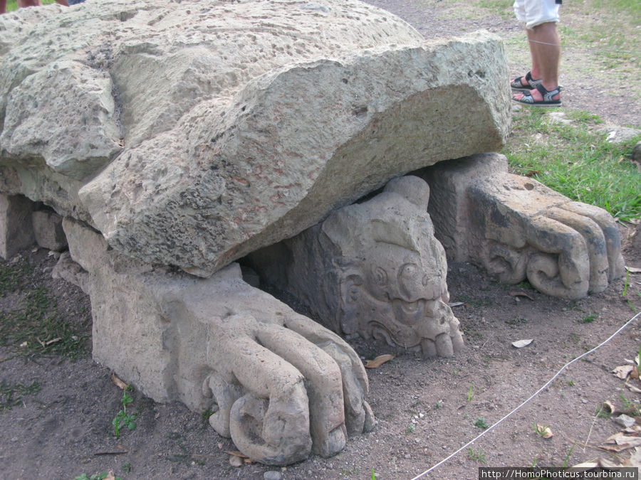 Каменная черепаха Копан-Руинас, Гондурас
