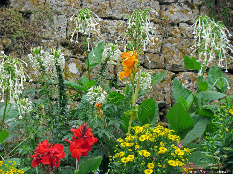 на входе — цветы Безансон, Франция