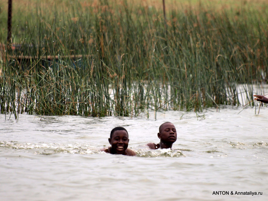 Подростки купаются в канале. Королевы Елизаветы Национальный Парк, Уганда