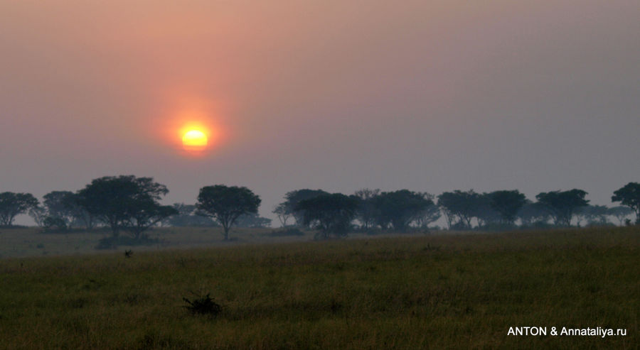 Закат в саванне. Королевы Елизаветы Национальный Парк, Уганда