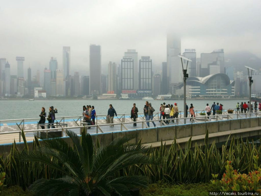 Гонконг в густом тумане Гонконг