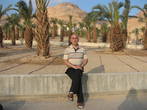 Пальмовый парк с капельным поливом у Мертвого моря