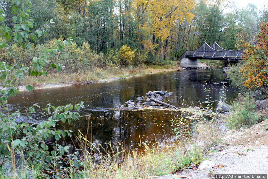 На берегу реки Кумса Медвежьегорск, Россия