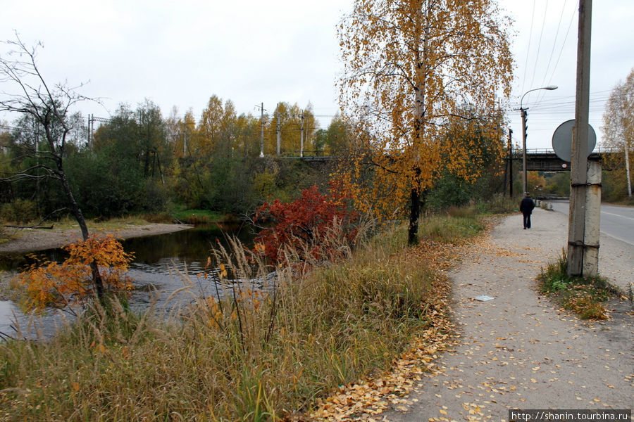 На берегу реки Кумса Медвежьегорск, Россия