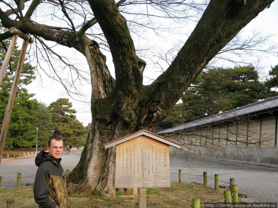 Тысячи храмов в загадочном Киото,Япония Киото, Япония