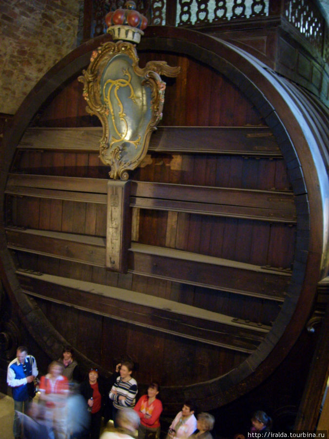 В подвалах замка располагается самая большая в мире винная бочка-  знаменитая Гейдельбергская бочка Гейдельберг, Германия