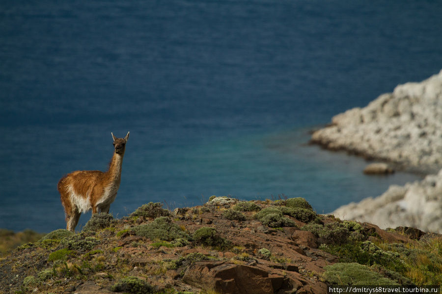 Торрес-дель-Пайн. Национальный парк Торрес-дель-Пайне, Чили