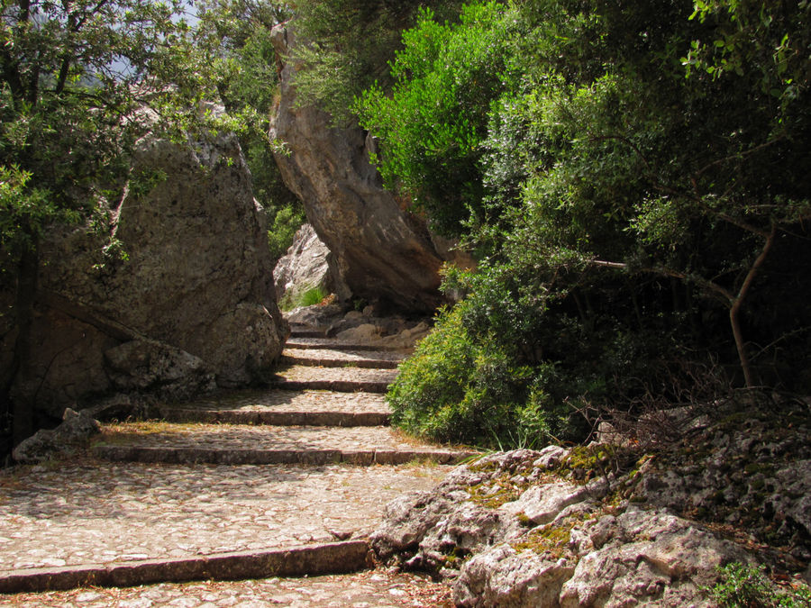 А добраться до креста можно извилистыми тропавми ботанического сада Люк, остров Майорка, Испания