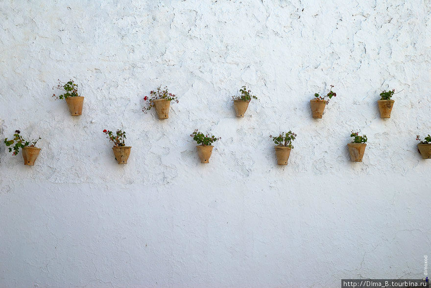 Испанцы очень любят все украшать горшочками с цветами. Пустая белая стена никогда не останется просто пустой белой стеной. Ольвера, Испания