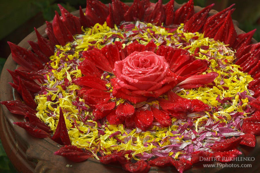 Вот такие там украшения из цветов Муннар, Индия