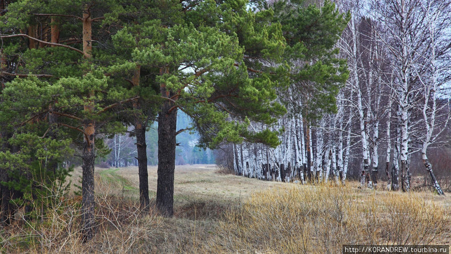 Лосиха. Чусовой, Россия