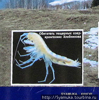 Рачок. Фрагмент фото взят из информационного щита музея. Кунгур, Россия