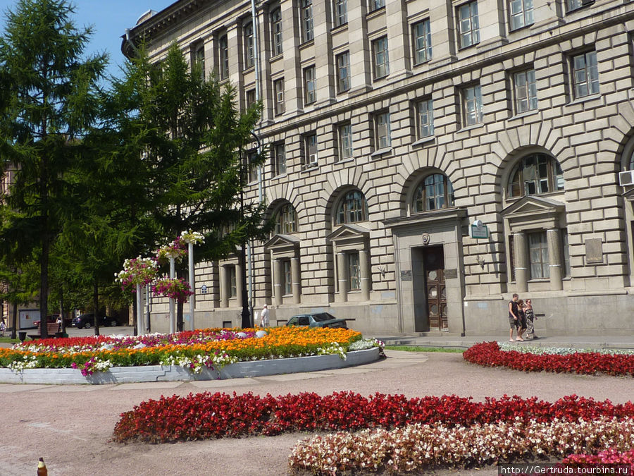 Цветы перед зданием института  ВМТ Санкт-Петербург, Россия