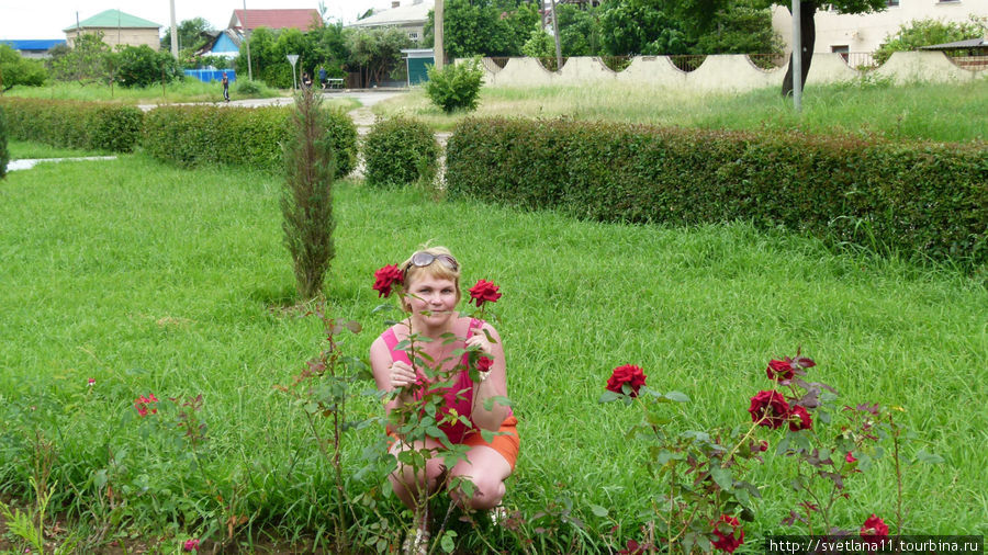 Светулька в розах Гагра, Абхазия