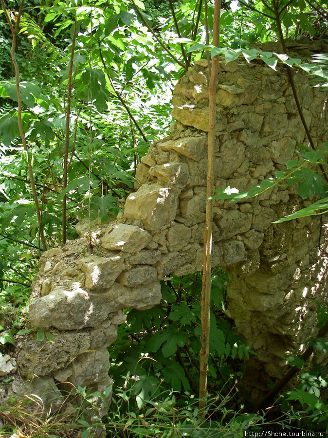 Встретился кусок старой кладки, как в джунглях Национальный парк Крка, Хорватия