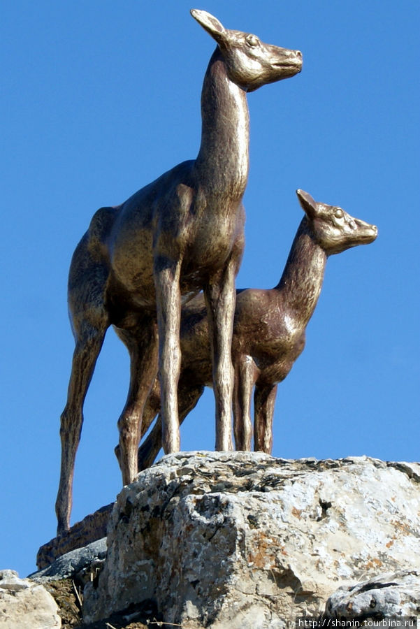 Лани Ашхабад, Туркмения