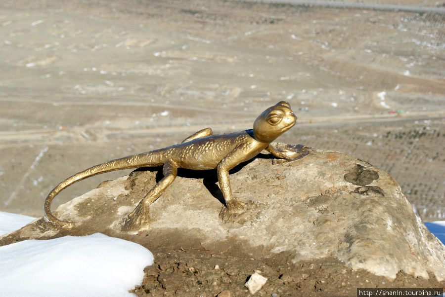 Ящерица на скале Ашхабад, Туркмения