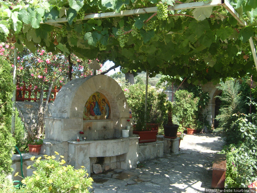 Монастырский дворик со святым источником. Сюда мы ездили за оливковым маслом. Будва, Черногория