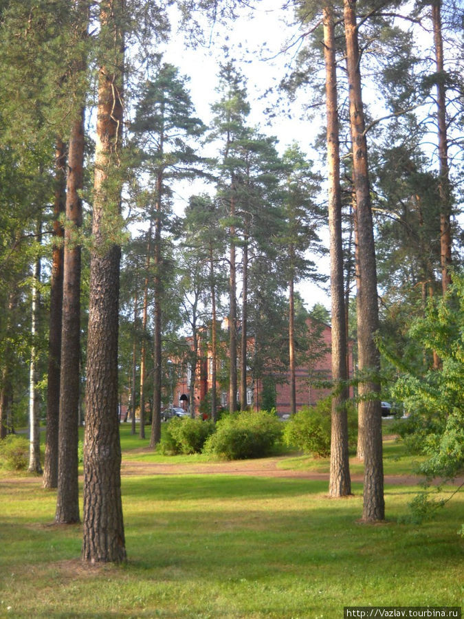 Постройки едва видны за деревьями Коувола, Финляндия