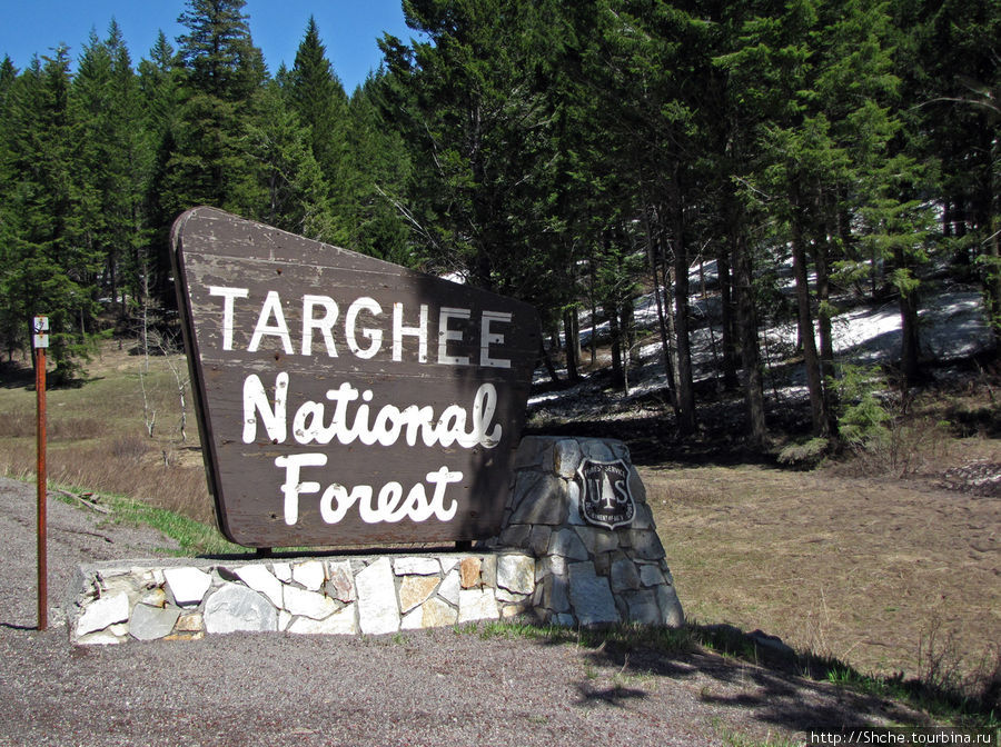 Мы въехали на территорию национального леса Targhee National Forest Карибу-Тарги Национальный Лес, CША