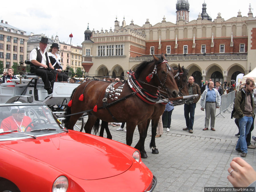 Лошади города Кракова Краков, Польша