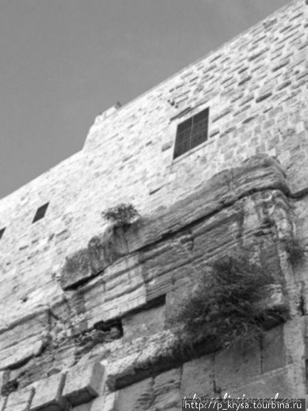 на стене видны остатки каменной арки, которую называют аркой Робинсона. Это самая высокая арка того периода. Иерусалим, Израиль