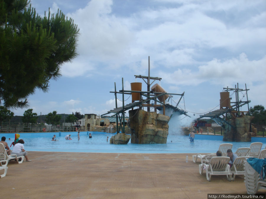 Взрослые кадушки, рядом бассейн с волной Магалуф, остров Майорка, Испания