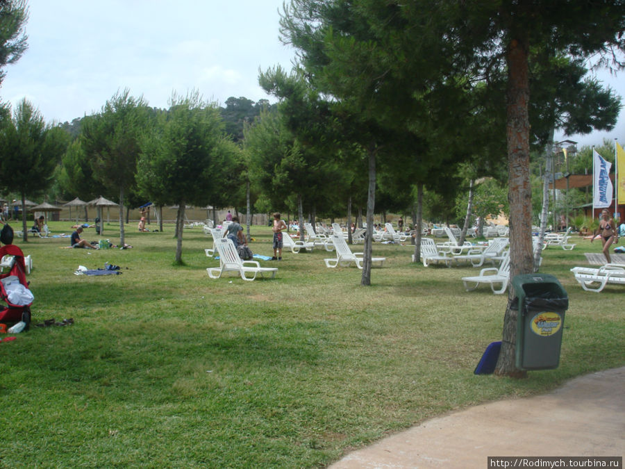 Можно лежать на траве, за лежак формально нужно платить Магалуф, остров Майорка, Испания