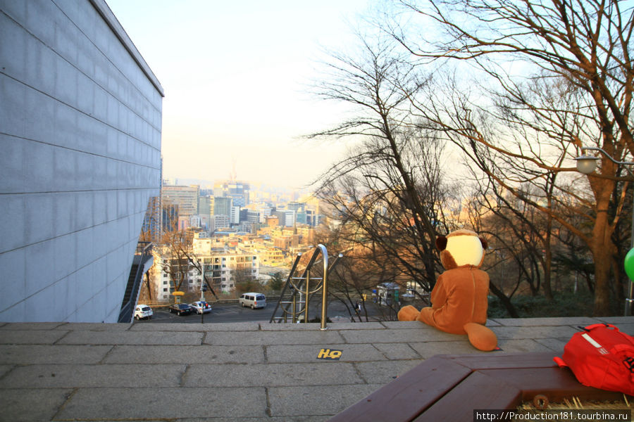 Обалденная фотка) Сидит значит медведь и наблюдает) Сеул, Республика Корея