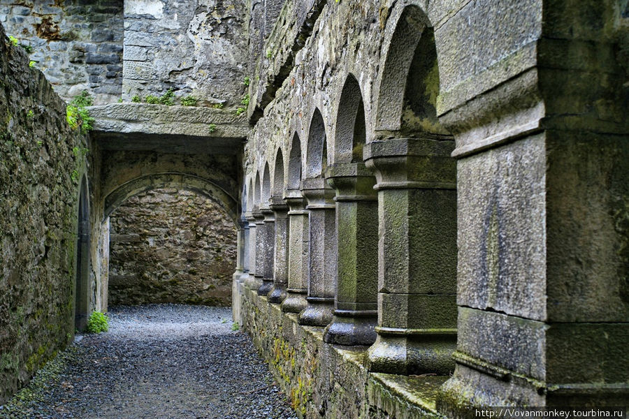 В монастыре Ross Errily Friary — колонны внутреннего дворика Графство Голуэй, Ирландия